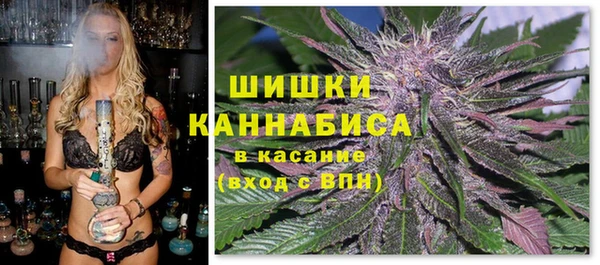 ПСИЛОЦИБИНОВЫЕ ГРИБЫ Вязники