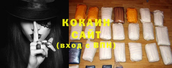 ПСИЛОЦИБИНОВЫЕ ГРИБЫ Вязники