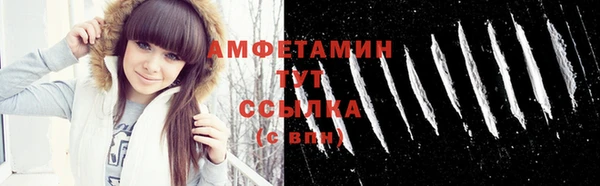 спиды Вяземский