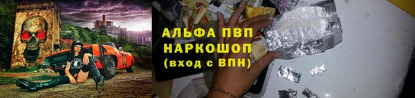 ПСИЛОЦИБИНОВЫЕ ГРИБЫ Вязники
