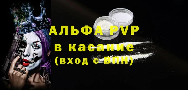 спиды Вяземский