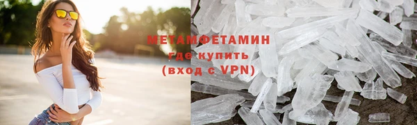 ПСИЛОЦИБИНОВЫЕ ГРИБЫ Вязники