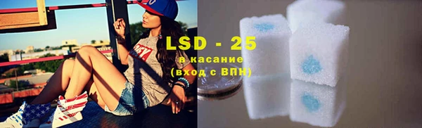 ПСИЛОЦИБИНОВЫЕ ГРИБЫ Вязники
