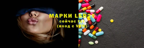 ПСИЛОЦИБИНОВЫЕ ГРИБЫ Вязники