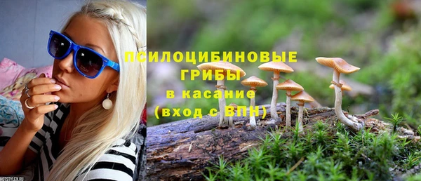 первитин Вязьма