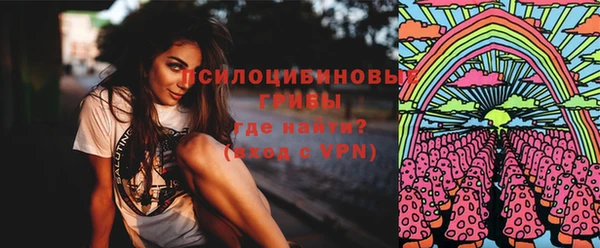 первитин Вязьма