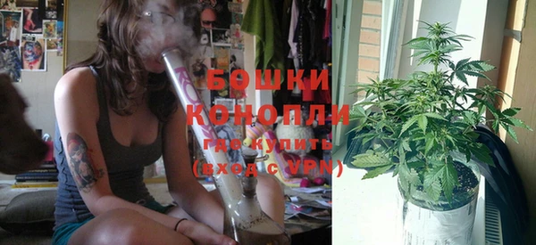 спиды Вяземский