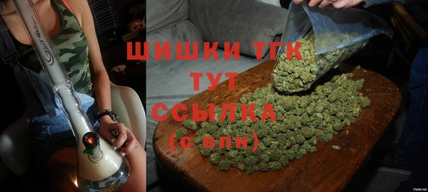 ПСИЛОЦИБИНОВЫЕ ГРИБЫ Вязники