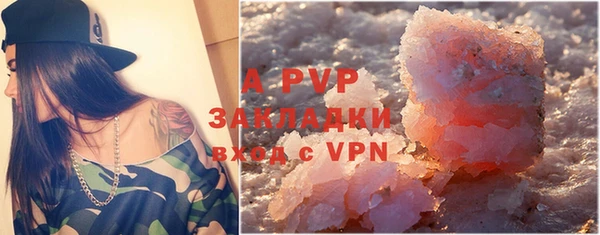 ПСИЛОЦИБИНОВЫЕ ГРИБЫ Вязники