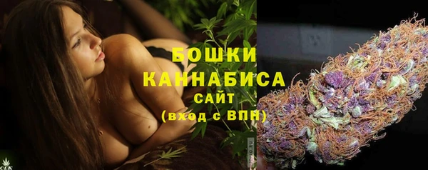 спиды Вяземский