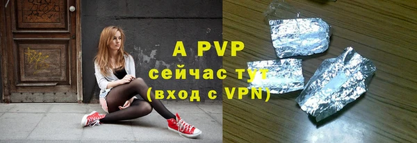 спиды Вяземский