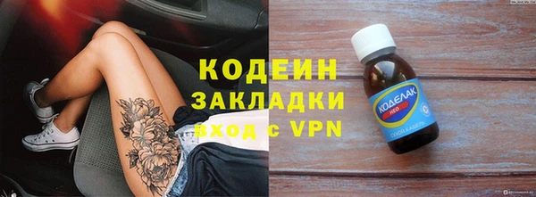 спиды Вяземский
